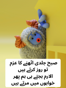 funny poetry in urdu text