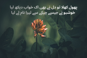 Flower Shayari in Urdu Text – Best 150+ Beautiful Phool Poetry