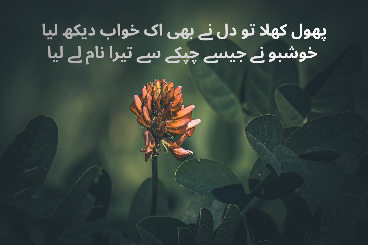 Flower Shayari in Urdu Text – Best 150+ Beautiful Phool Poetry