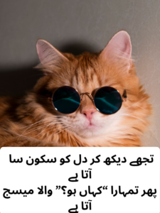 funny love shayari in urdu