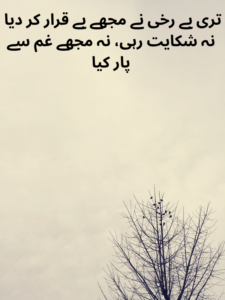 Best Narazgi Poetry in Urdu Text