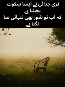 Sad Alvida Shayari in Urdu