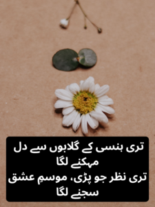 Romantic Flower Poetry