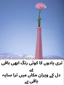 heart touching asthetic poetry