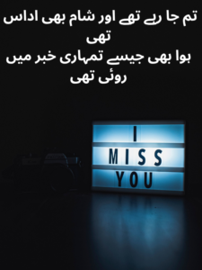 Heart Touching Goodbye Shayari