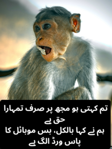 funny girlfriend poetry