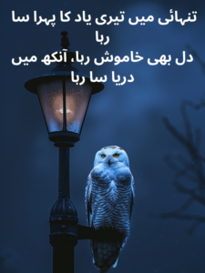 Tanhai Aur Yaad Poetry
