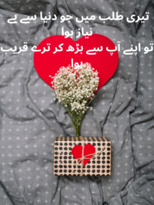 Ishq E Haqiqi poetry