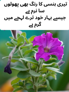 Best Flower Shayari in Urdu Text