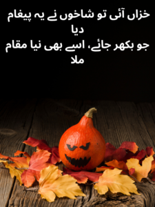 Autumn Season Poetry in Urdu