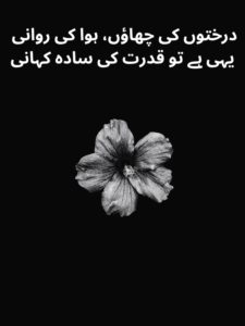 Nature and Flower Poetry