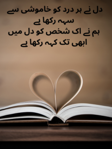 Best Two Lines Shayari in Urdu Text