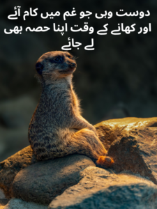funny poetry for best friends