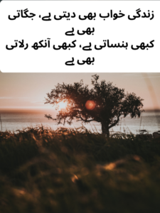 Best Zindagi Shayari in Urdu Text