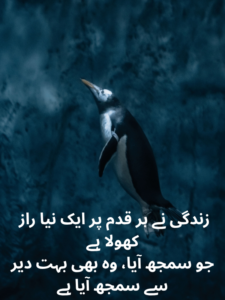 Life Deep Shayari In Urdu