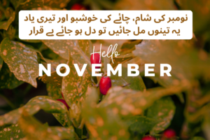 November Poetry In Urdu Text - Best 180 + November Shayari