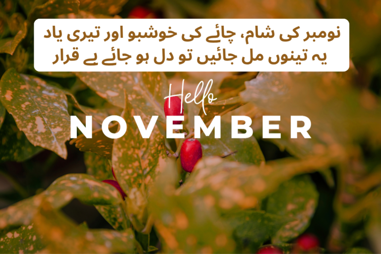 November Poetry In Urdu Text - Best 180 + November Shayari