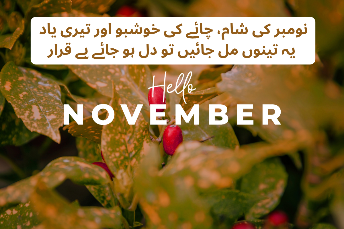 November Poetry In Urdu Text - Best 180 + November Shayari