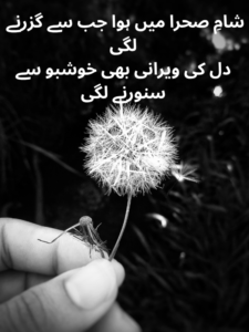 aesthatic nature poetry