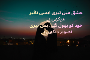 Love Poetry In Urdu Text - Best 220 + Heart Touching Shayari