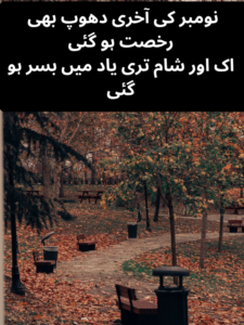 November Ki Aakhri Shaam