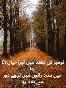 Best November Poetry in Urdu Text