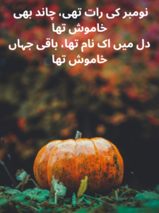 November Ki Khamosh Raaten