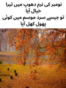 Beautiful November Shayari