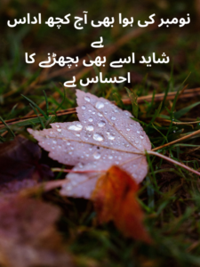 Sad November Poetry in Urdu