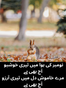 November Aur Yaadon Ki Poetry