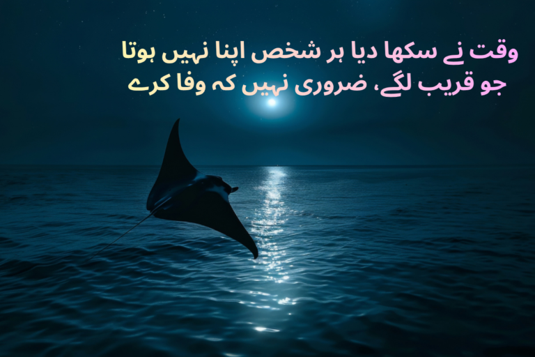 Deep Shayari In Urdu Text - Best 200 + Meaningful Poetry