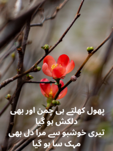 Beautiful Phool Poetry in Urdu