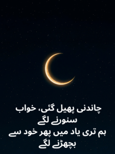 Best Chand Shayari in Urdu Text