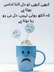 Emotional Sad Poetry In Urdu Text