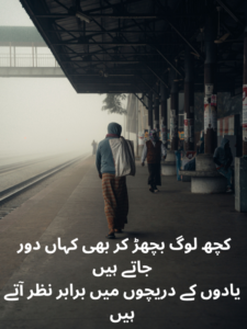 Best Alvida Shayari in Urdu Text