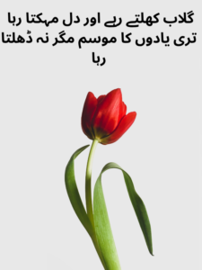 2 Lines Flower Shayari In Urdu