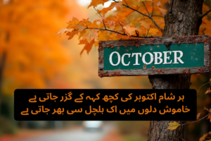 October Poetry in Urdu Text – Best 200+ Beautiful October Shayari