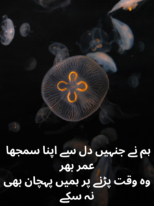 Heart Touching Deep Poetry