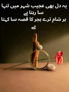 sad astheteic poetry in urdu