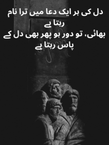 Bhai Ke Liye Dil Se Shayari