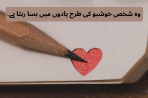 One Line Poetry in Urdu Text – Best 200+ Beautiful Shayari